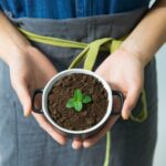 person holding cup with green plant